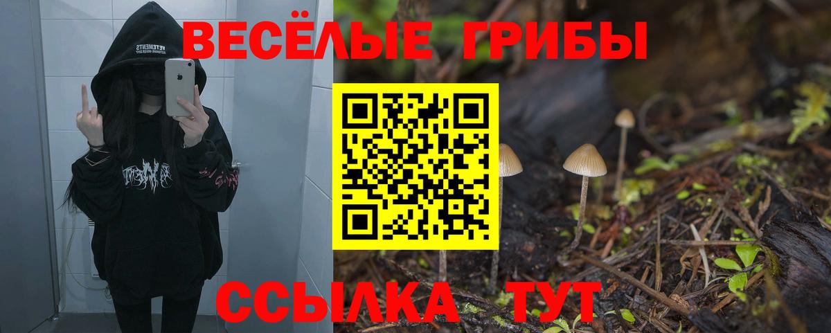 Псилоцибиновые грибы MAGIC MUSHROOMS  Галлюциногенные грибы MAGIC MUSHROOMS  Нефтекамск  Вход с VPN 
